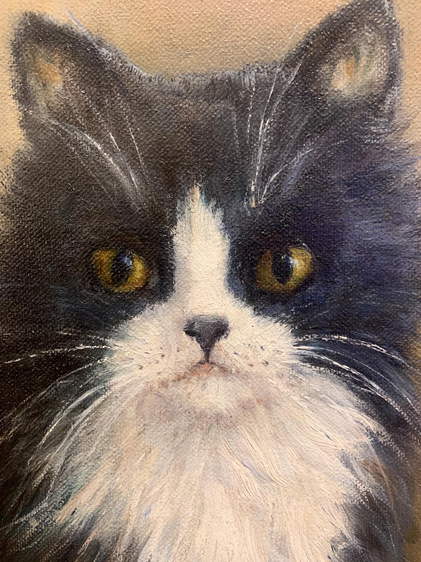 Tuxedo Cat Oil Painting, Vintage Black & White Judgemental Cat!